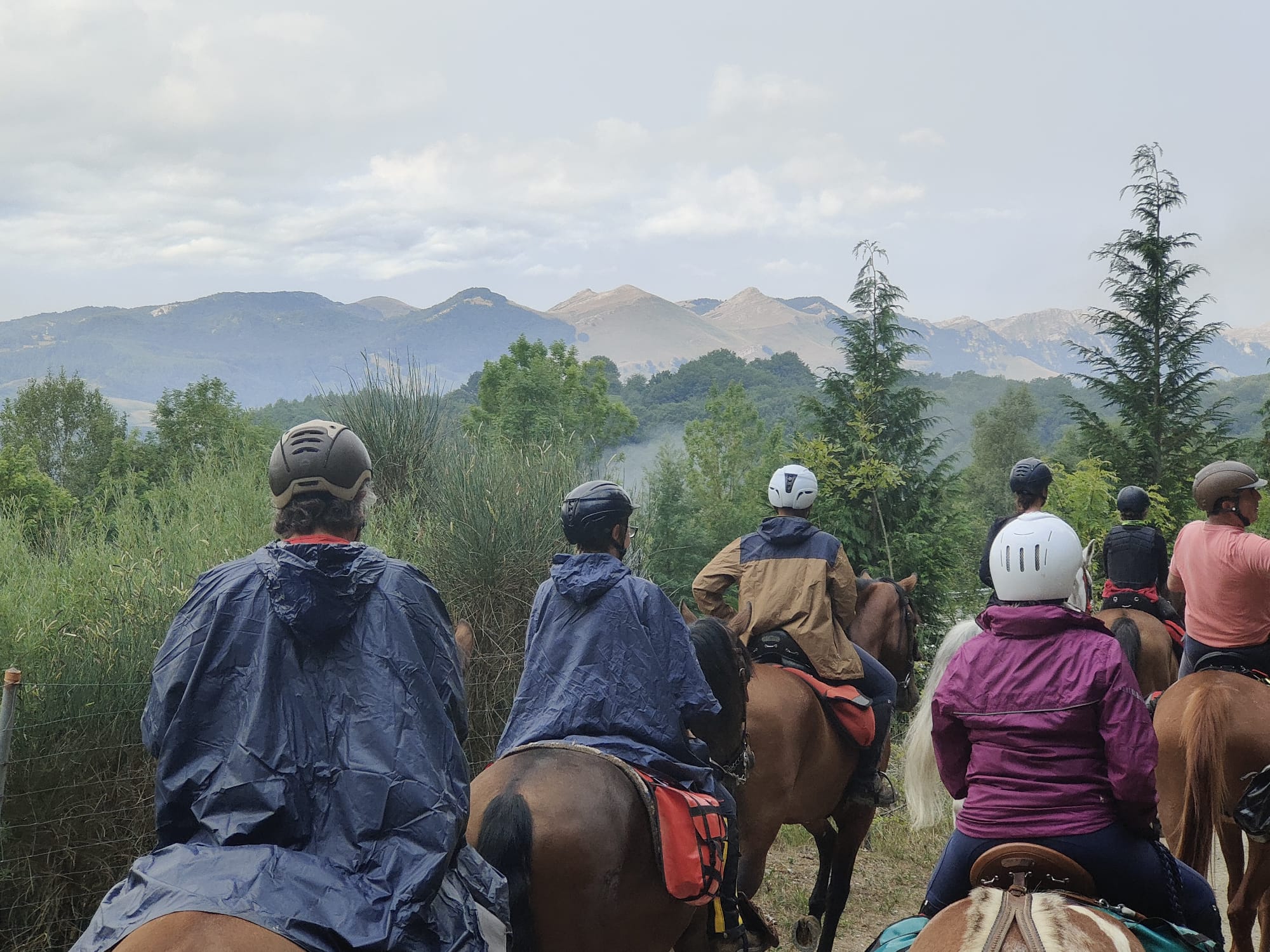 La Asociacion de marchas a caballo de cataluña visita Navarra